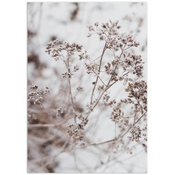 Комплект постерів "Home Art"