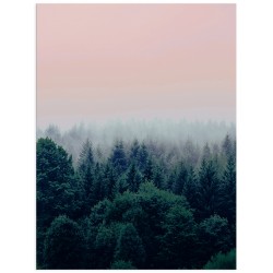 Комплект постеров "Nature"