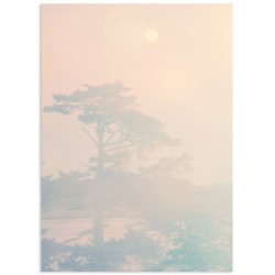 Комплект постеров "Fog"