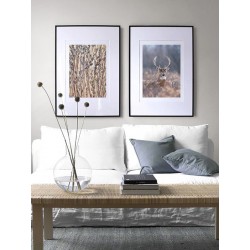 Комплект постерів "Character"