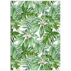 Комплект постерів "Tropical"