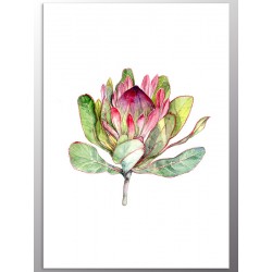 Комплект постерів "Tropical"