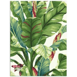 Комплект постеров "Tropical"