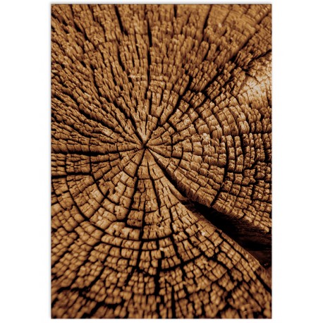 Постер "Wood"