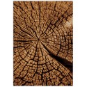Постер "Wood"