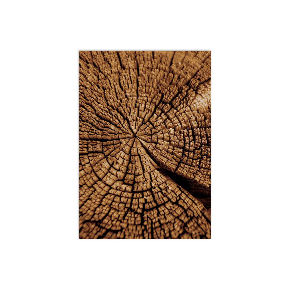 Постер "Wood"