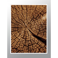 Постер в рамке "Wood"