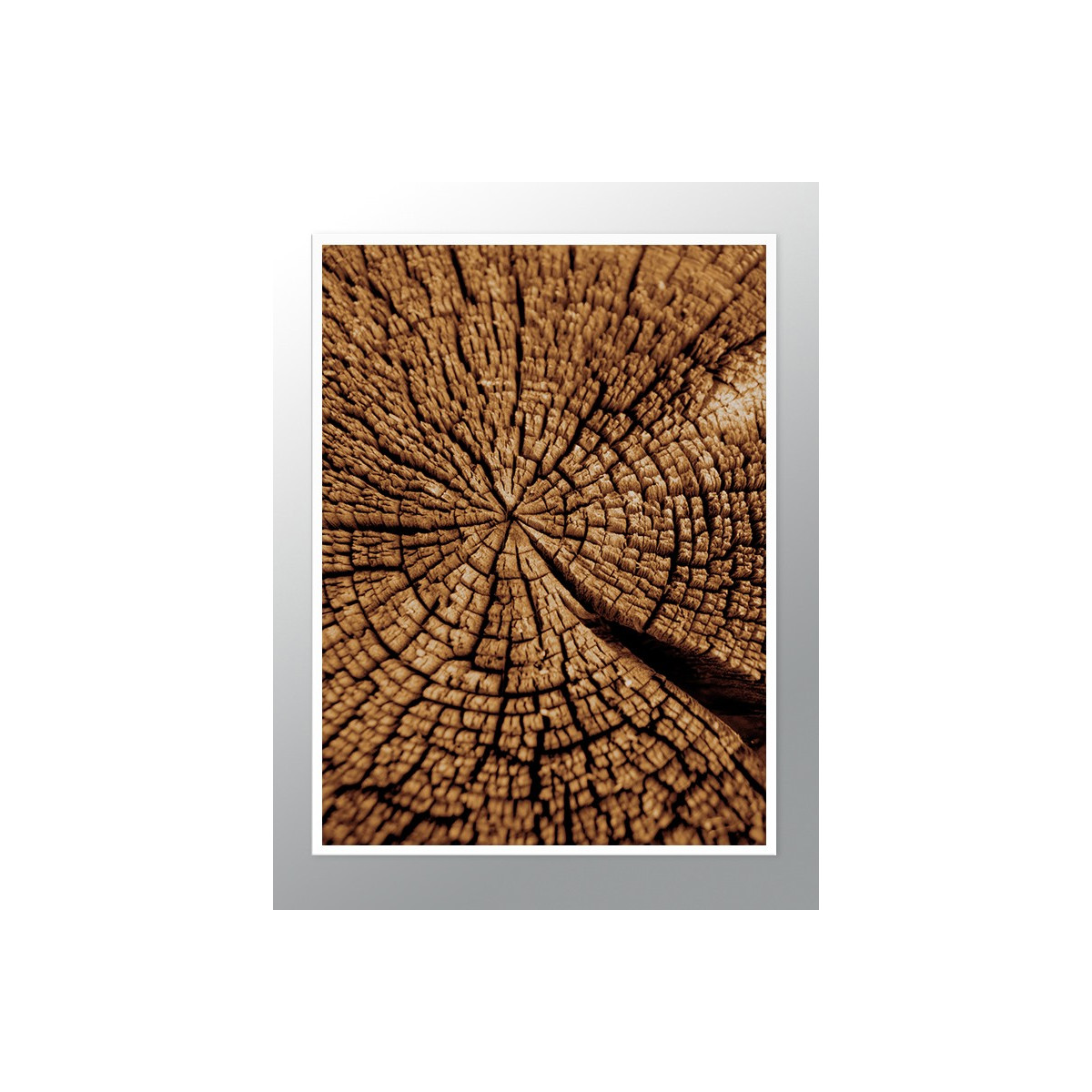 Постер в рамці "Wood"