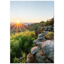 Комплект постеров "Go with your gut"