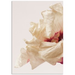 Комплект постерів "Lovely"