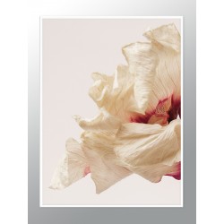 Комплект постеров в рамках "Lovely"