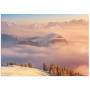 Постер "Crimson fog"