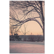 Постер "Park"