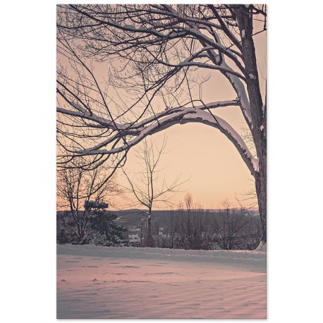 Постер "Park"