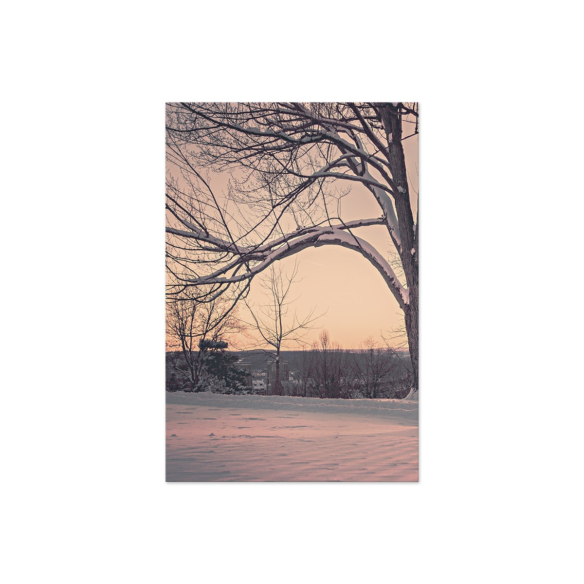 Постер "Park"