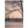 Постер "Park"