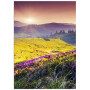 Постер "Carpathians"