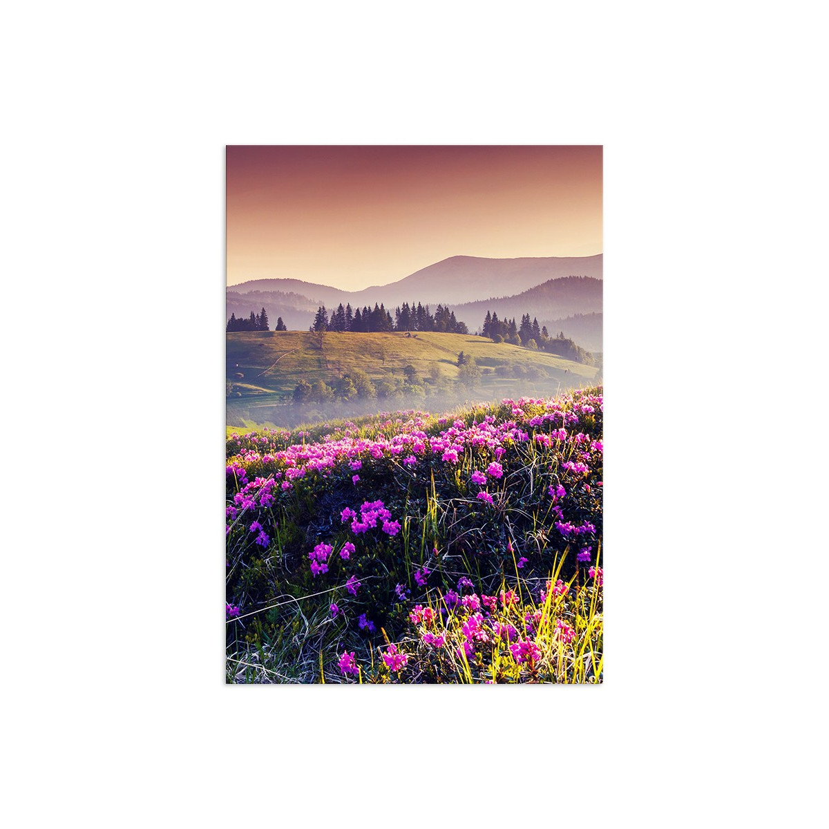Постер "Carpathians"