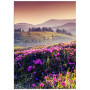 Постер "Carpathians"