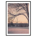Постер в рамке "Park"