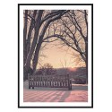 Постер в рамці "Park"