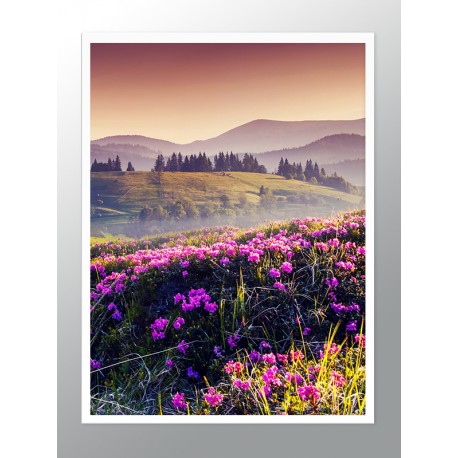 Постер в рамке "Carpathians"