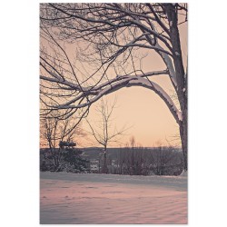 Комплект постеров "Park"