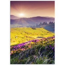 Комплект постерів "Carpathians"