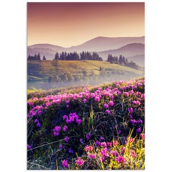 Комплект постеров "Carpathians"