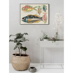 Постер "Психоделические рыбы Луи Ренара (1678–1746)"