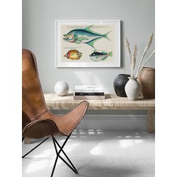 Постер "Психоделические рыбы Луи Ренара (1678–1746)"