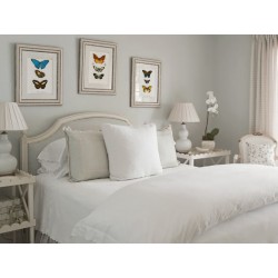 Комплект постеров "Botanical. Butterflies"