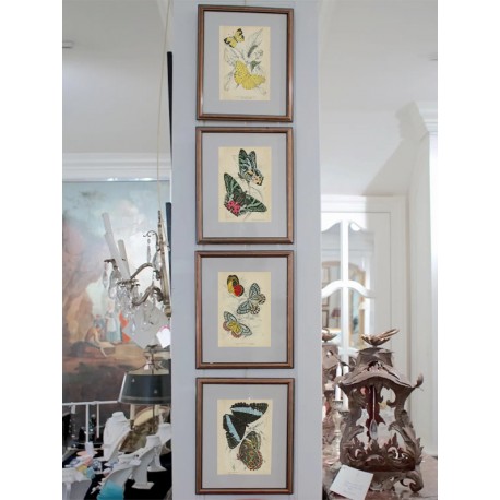 Комплект постерів "Botanical. Butterflies"