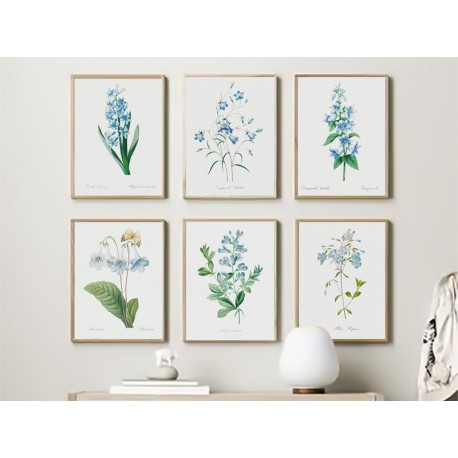 Комплект постеров "Botanical. Flowers"