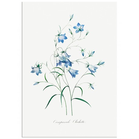 Комплект постерів "Botanical. Flowers" Комплект постерів "Botanical. Flowers"