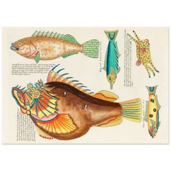 Комплект постеров "Psychedelic Fish. Louis Renard"