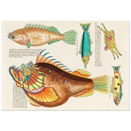 Комплект постерів "Psychedelic Fish. Louis Renard"