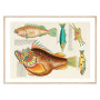 Комплект постеров в рамках "Psychedelic Fish. Louis Renard"