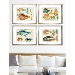 Комплект постеров в рамках "Psychedelic Fish. Louis Renard"