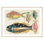 Комплект постеров в рамках "Psychedelic Fish. Louis Renard"