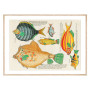 Комплект постеров в рамках "Psychedelic Fish. Louis Renard"