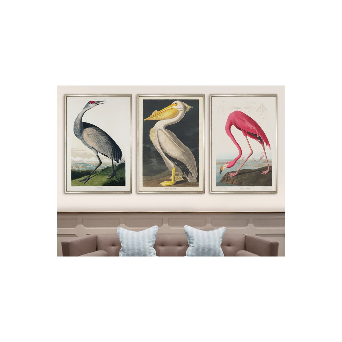 Комплект постеров в рамкках "Birds. John James Audubon"