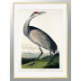 Комплект постеров в рамкках "Birds. John James Audubon"