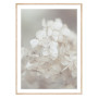 Постер "Hydrangea"