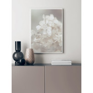 Постер "Hydrangea"