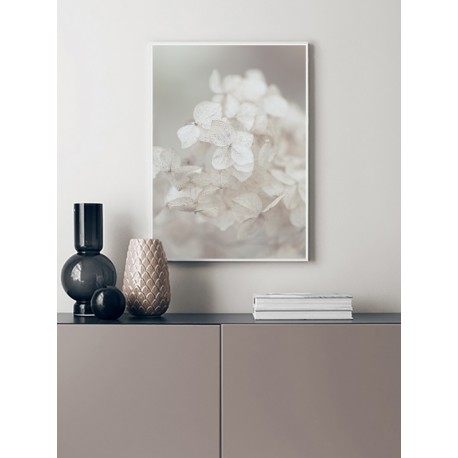 Постер "Hydrangea"