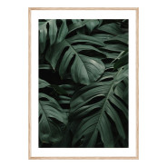 Постер "Tropical"