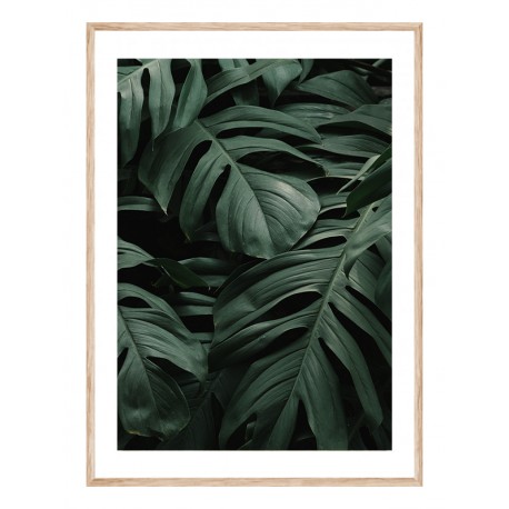 Постер "Tropical"