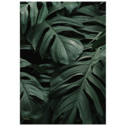 Постер "Tropical"