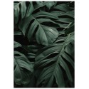 Постер "Tropical"